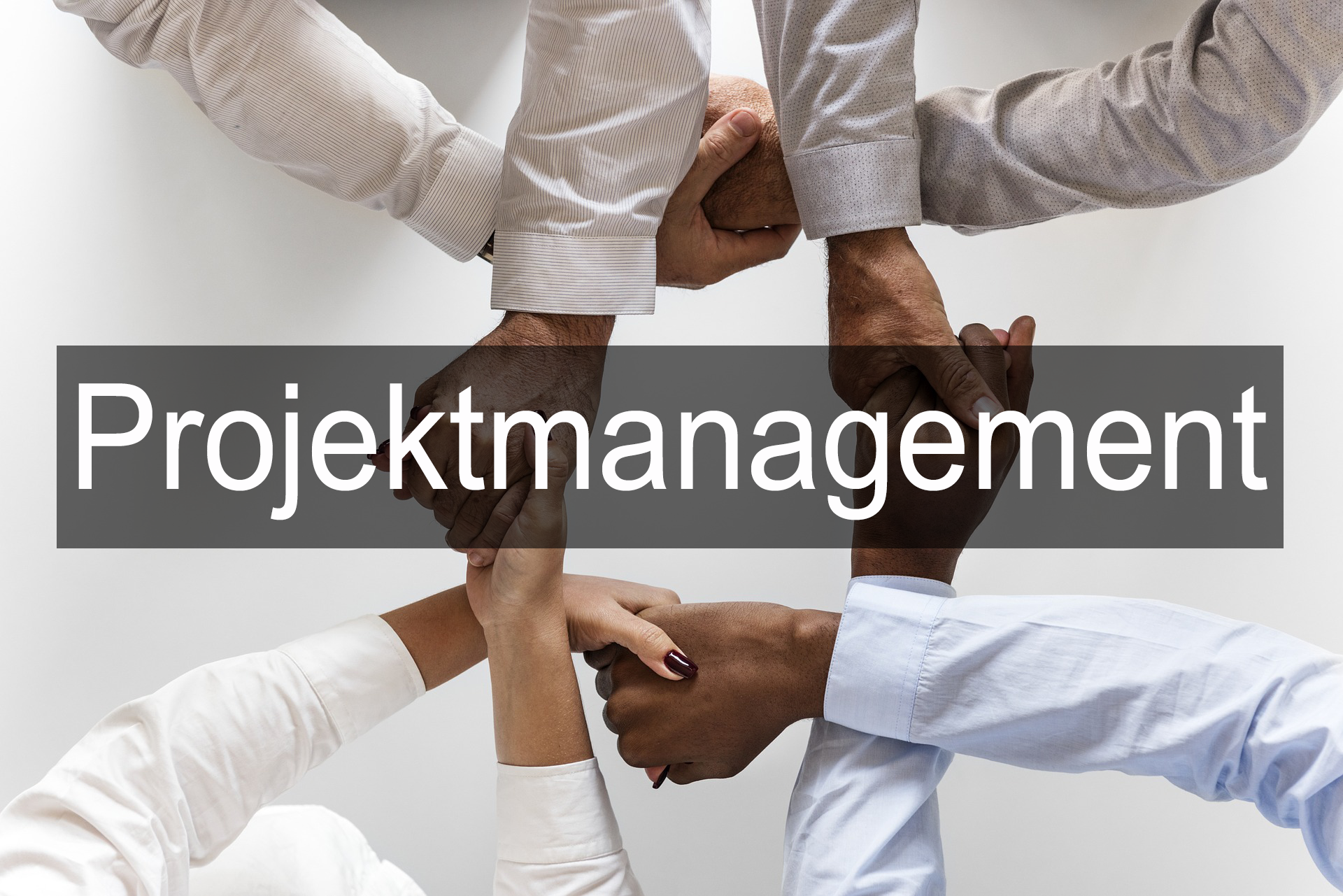 Projektmanagement.png